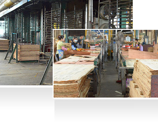 —30年耕耘，實(shí)力深厚